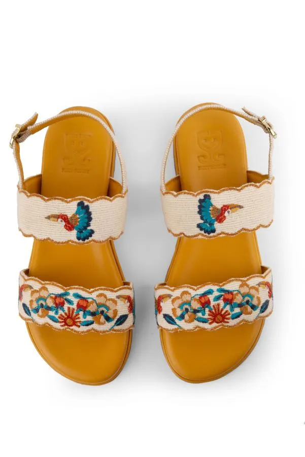 Birds of a Feather : Slip Ons