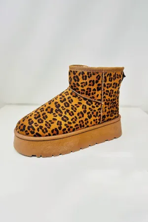 Leopard Print Cozy Suede Booties