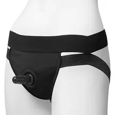 Panty harness with plug dual straps