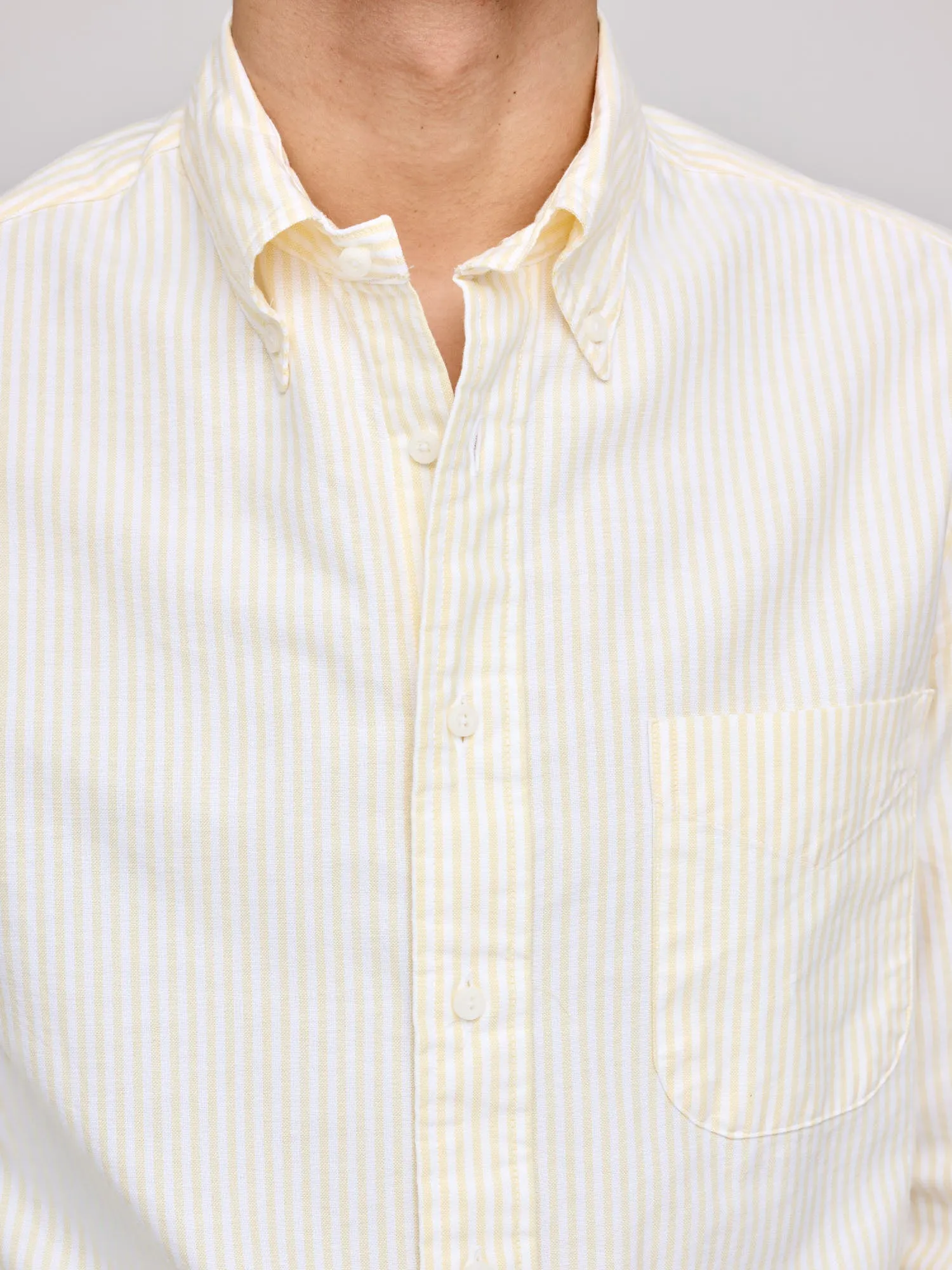 Spring Oxford, Yellow Stripe
