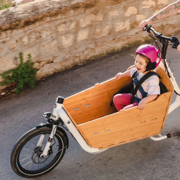 Yuba Supercargo Bamboo Box Family Pack